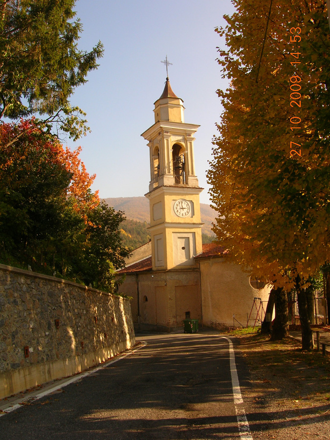 Casario