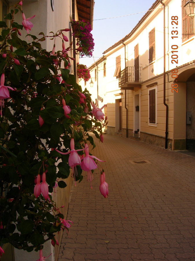 Priola